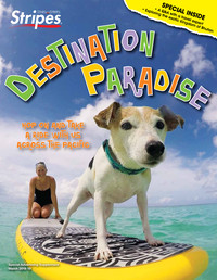 Destination Paradise cover