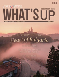 What's Up - Bavaria cover