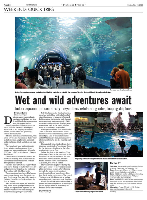 ePaper | Stars and Stripes